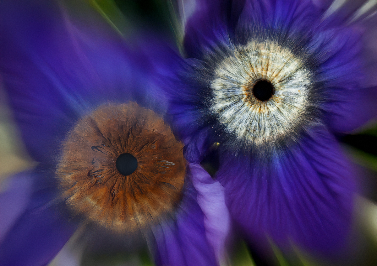 Iris-Kunstwerk mit Blumen