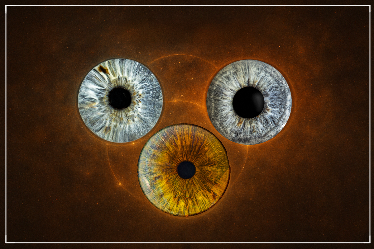 Iris-Trio orange
