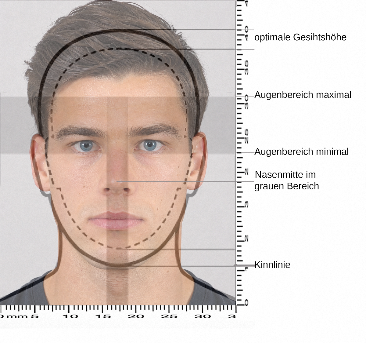 Biometrische Anforderungen für Passbilder erklärt – Fotostudio Ganderkesee